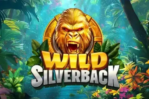 Wild Silverback